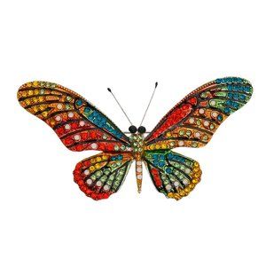 Multi Color Butterfly Brooch